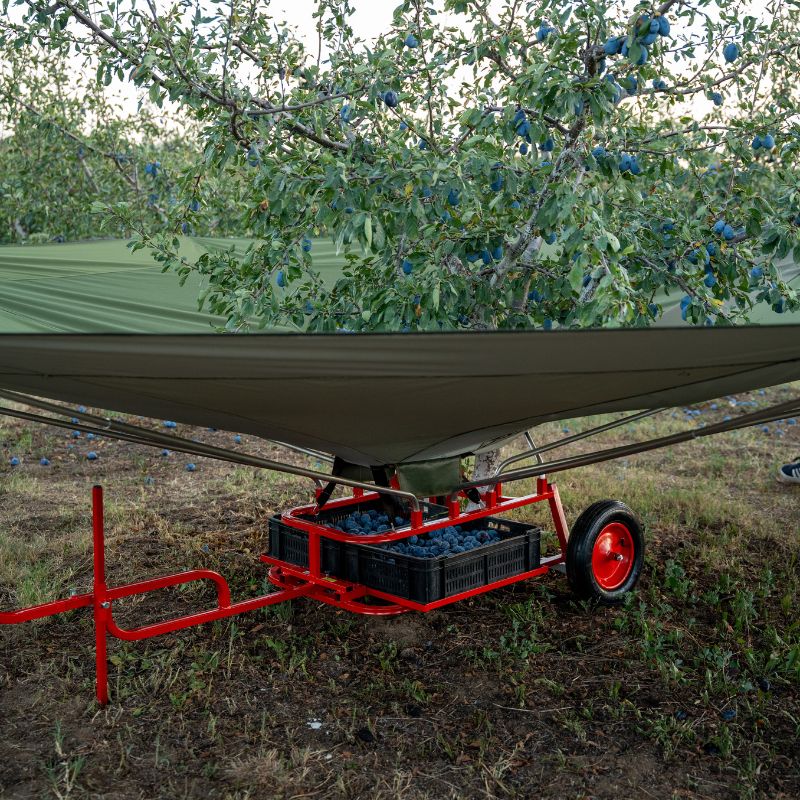 Konfiguracja maszyny