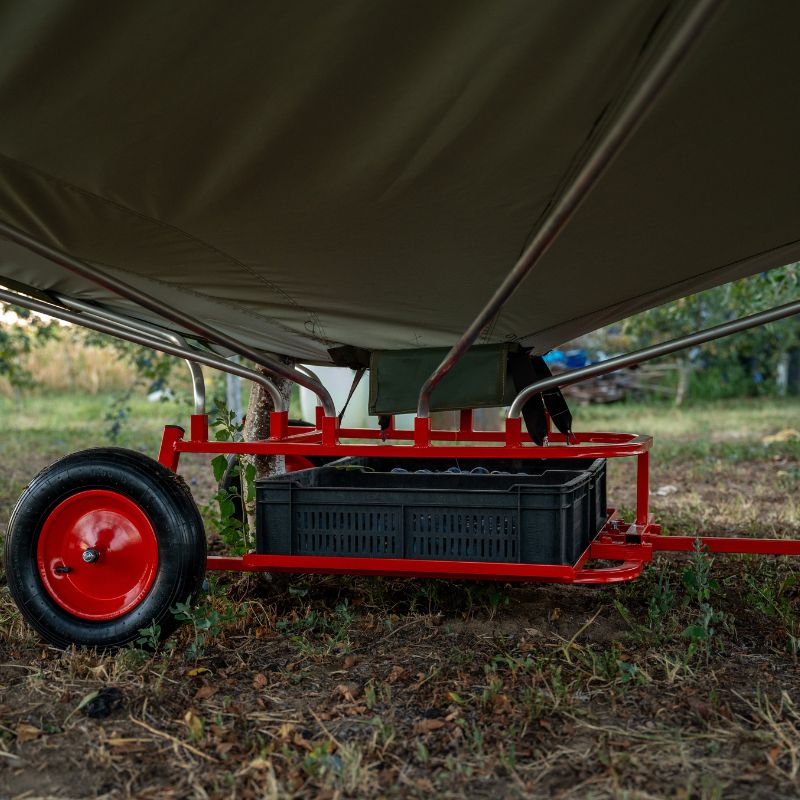 Przejście do następnego drzewa