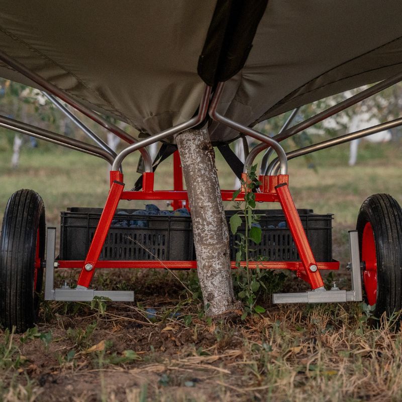 Sortowanie i zbieranie